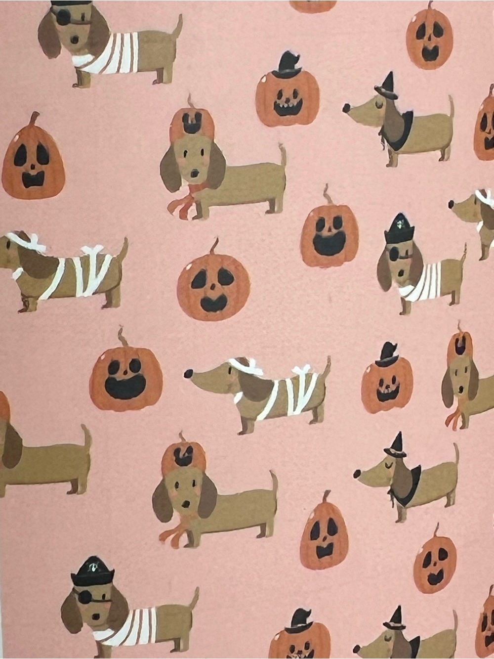 Dachshund Pink Halloween Pet Blanket